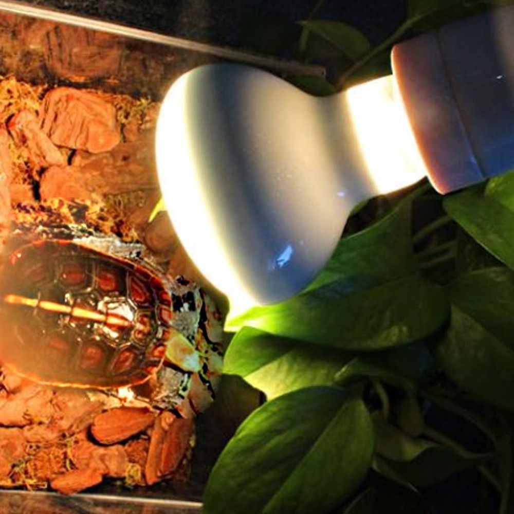 Lizard Heater Temperature Cont - Basking Bulb Halogen review and price
