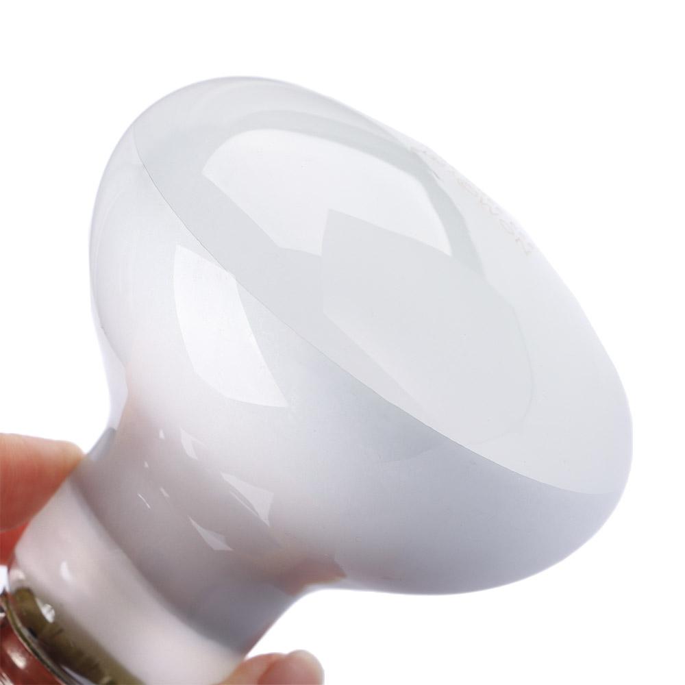 Lizard Heater Temperature Cont - Basking Bulb Halogen review and price