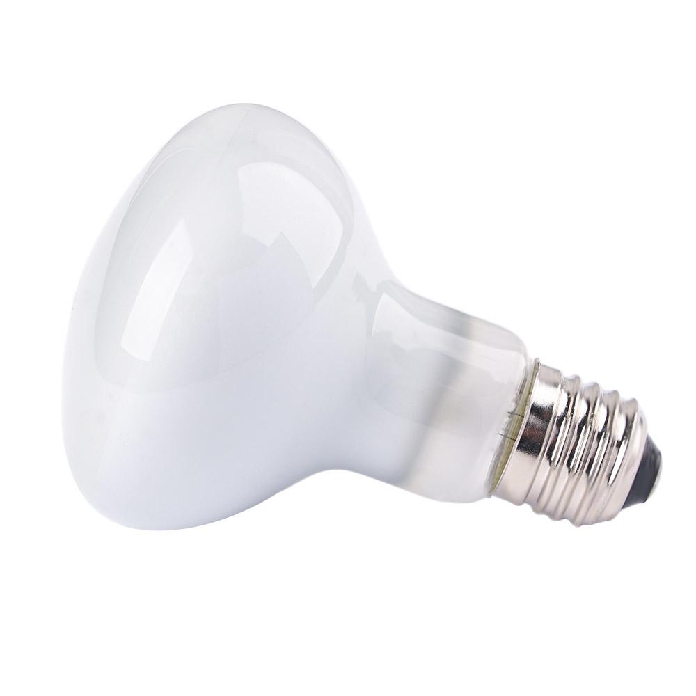 Amphibians Heater Heat Lamp UV - Basking Bulb Halogen review and price