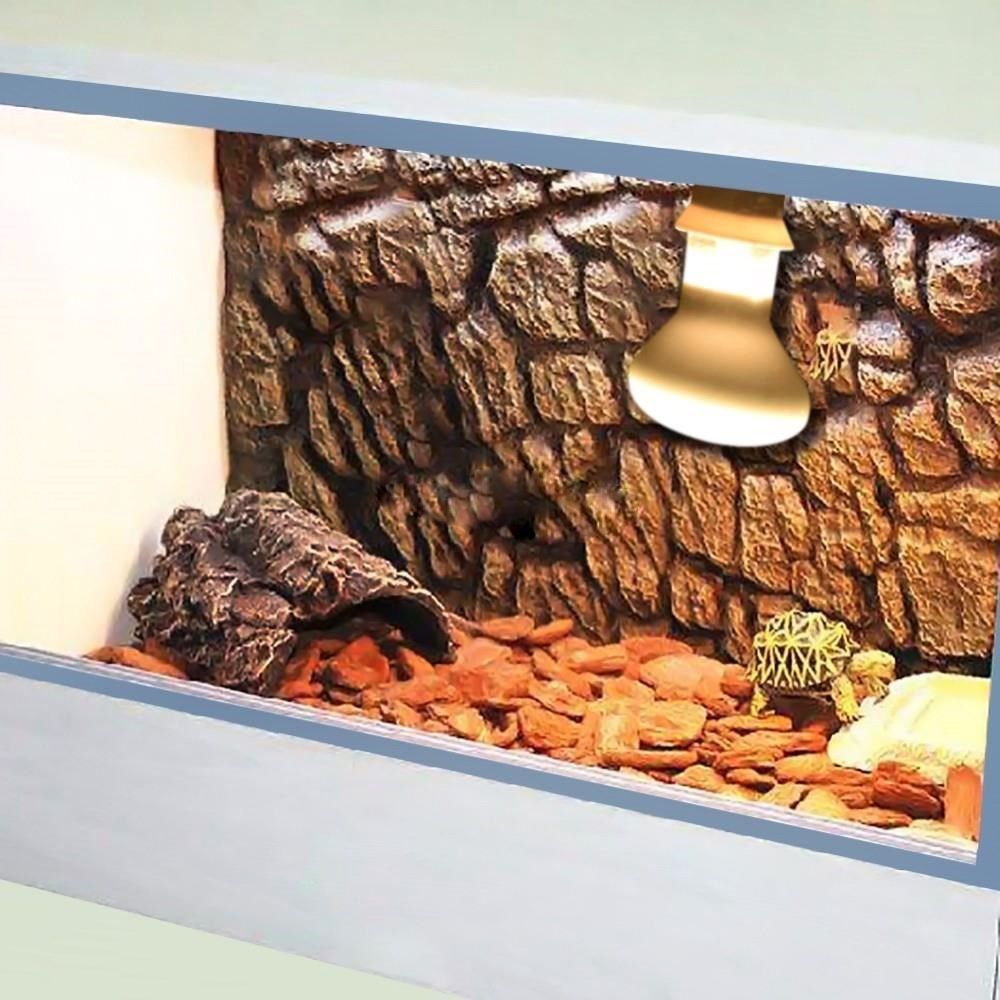 Turtle Heater Heat Lamp Reptil - Basking Bulb Halogen review and price